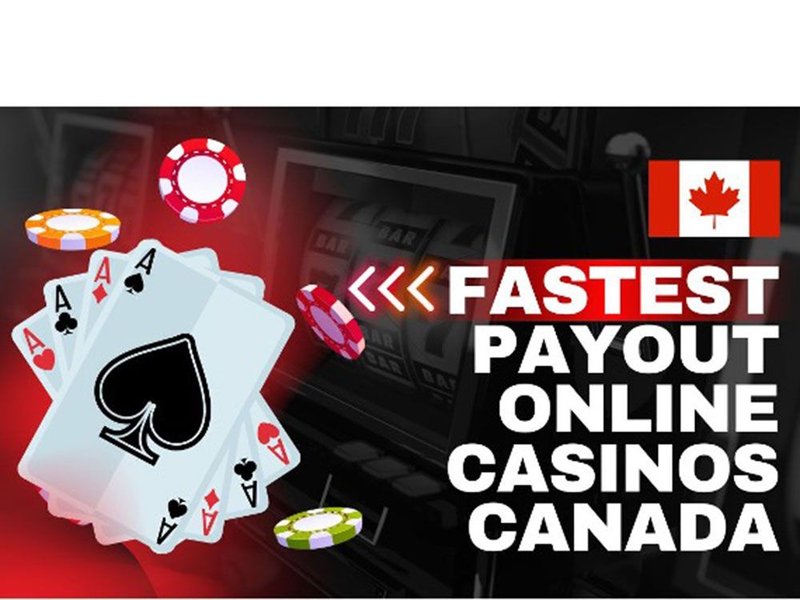 The Best eCheck Casinos for High Rollers in 2026